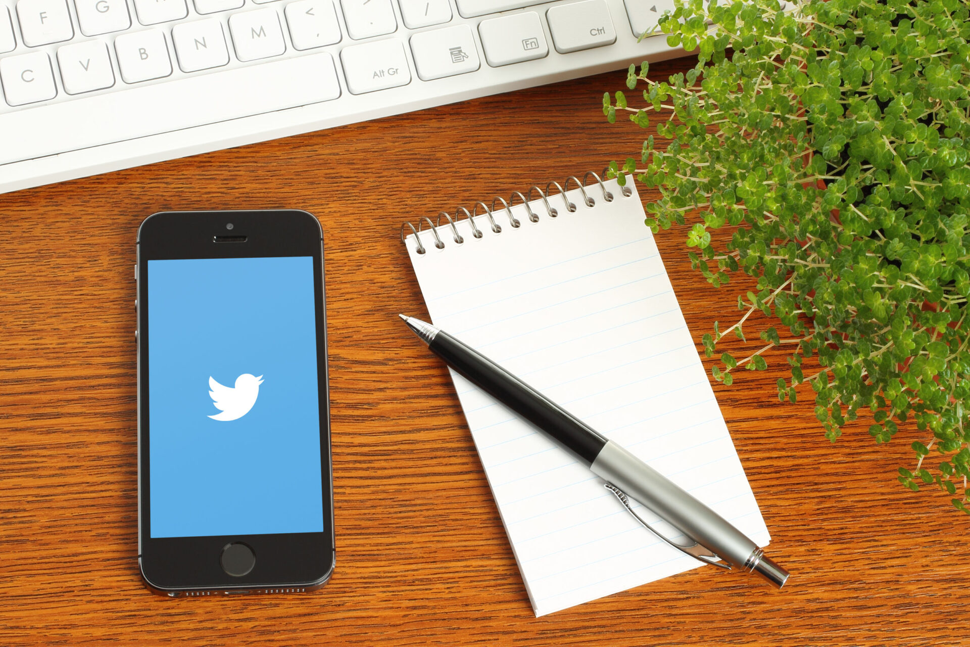 Top 10 Authors You Should Be Following on Twitter Artical Store