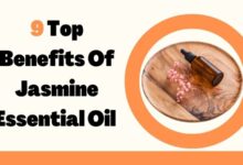 Photo of 9 Top Benefits Of Jasmine Essential Oil 