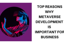 Photo of Top Reasons Why Metaverse Development Is Important For Business