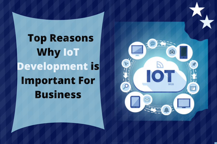 Top IoT Development Company for Your Business