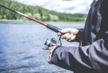 Photo of Best tips and tricks for fishing more effectively