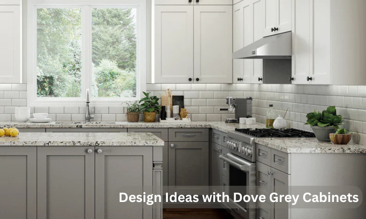 Design Ideas with Dove Grey Cabinets