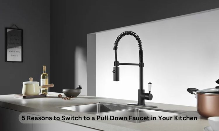 5 Reasons to Switch to a Pull Down Faucet in Your Kitchen