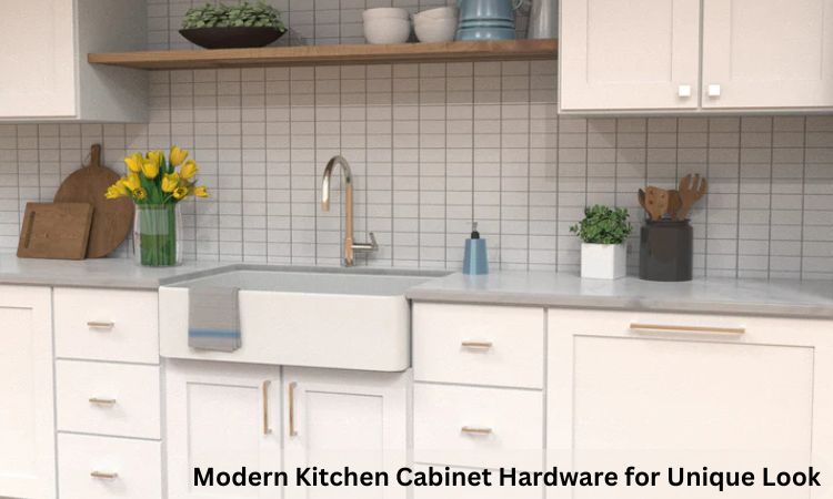 Modern Kitchen Cabinet Hardware for Unique Look